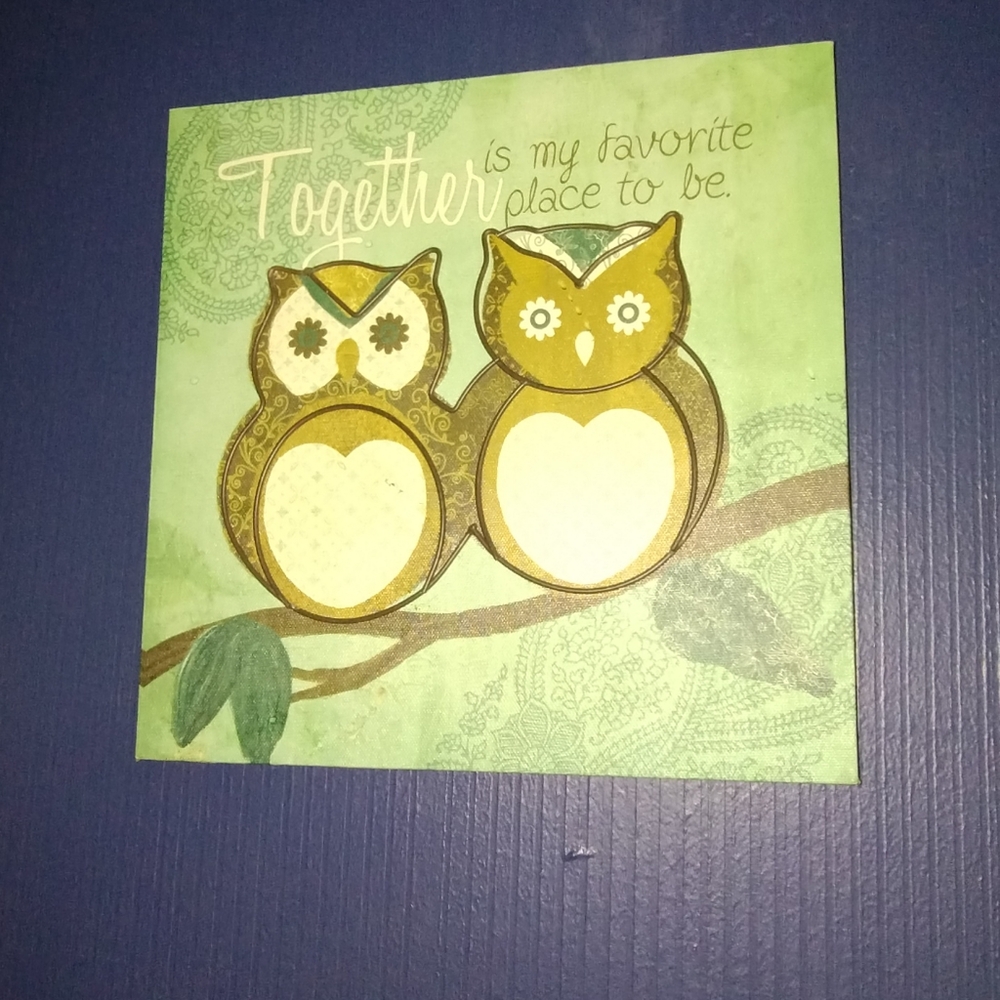 Owl canvas